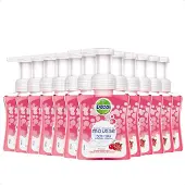 Dettol Handzeep Zachte Mousse - Roos & Kersenbloesem - 250ml X12
