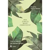 Borgerhoff & Lamberigts Van stress naar veerkracht