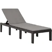 vidaXL Ligbed met kussen kunststof antracietkleurig