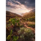 Overig Fotobehang Warm Licht - Meerkleurig - 2,80m X 200cm