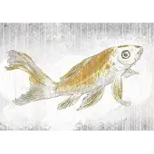 Overig Fotobehang Golden Koi - Geel - 2,80m X 400cm