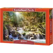 Castorland The Forest Stream Puzzel (2000 stukjes)