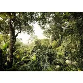 Komar Fotobehang vlies Jungle 350x250 cm