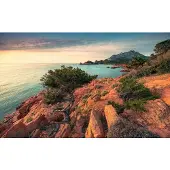 Overig Fotobehang Paradiso Ii - Meerkleurig - 2,80m X 450cm
