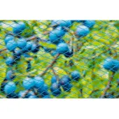 Nature - Nano tuin-net - 10 x 4m - blauw - anti-vogelnetten
