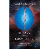 Samsara Uitgeverij b.v. De barst in het kosmische ei (Hardback)