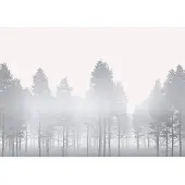 Komar Fotobehang Silver Haze - Grijs - 2,80m X 400cm