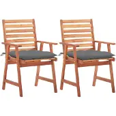 vidaXL Tuinstoelen 2 st met kussens massief acaciahout