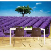 Slaaptextiel Fotobehang Lavendel (366 x 254 cm)