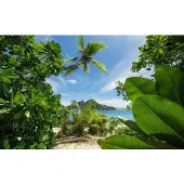 Overig Fotobehang Cast Away Jungle - Meerkleurig - 2,80m X 450cm