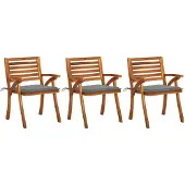 vidaXL Tuinstoelen 3 st met kussens massief acaciahout