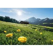 Komar Fotobehang Alpenglück - Meerkleurig - 2,80m X 400cm