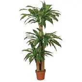 Intergard Kunstplant Dracaena 145cm