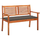 vidaXL Tuinbank 2-zits met kussen 120 cm massief eucalyptushout