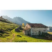 Overig Fotobehang Pastell - Meerkleurig - 2,80m X 450cm