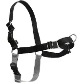 Petsafe Altranet Hondentuigje Easy Walk 62-86 Cm Nylon Zwart