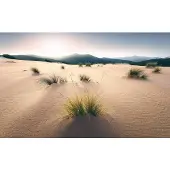 Overig Vivid Fotobehang Dunes - Meerkleurig - 2,80m X 450cm