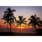 Komar Hawaii Fotobehang 368x254cm 8-delen