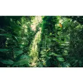 Overig Fotobehang Green Leaves - Groen - 2,80m X 450cm