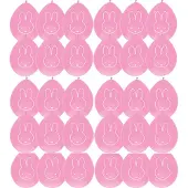 Haza 30 x Ballonnen Nijntje Roze - Meisje