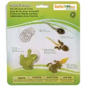 Safari Ltd. Levenscyclus van een kikkerbeeldjesset - Miniatuur educatief