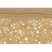Komar Fotobehang Subsoil - Bruin - 2,80m X 400cm