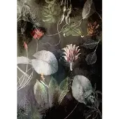 Komar Fotobehang Night Flowers 200x250cm