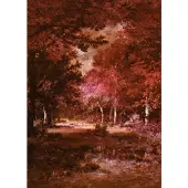 Overig Fotobehang Autumna Rosso - Meerkleurig - 2,80m X 200cm