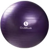 SVELTUS Gymball