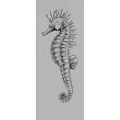 Komar Vliesbehang Digitale print vlies - Seahorse Panel - Afmeting 100 x 250 cm (1 stuk)