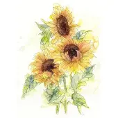 Komar Fotobehang Girasol 200 X 250 Cm