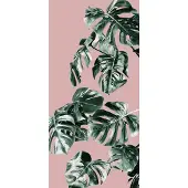 Komar Vliesbehang Digitale print vlies - Monstera Rosé Panel - Afmeting 100 x 250 cm (1 stuk)