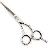 Kyone 480 College Line knip 5,5 inch Zilver 5,5inch