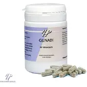 Holisan Gunadi