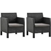 vidaXL Tuinstoelen 2 st met kussens PP rattan antracietkleurig