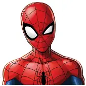 Fun Spiderman Shaped Kussen