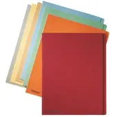 Esselte A4 Simple Subfolder 275g 100 Units Veelkleurig Kinderen