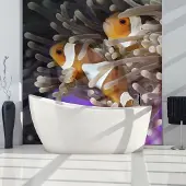 Artgeist Fotobehang – Behangpapier - Fotobehang - Clownfish 250x193 -