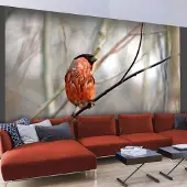 Artgeist Fotobehang - Bullfinch in the forest