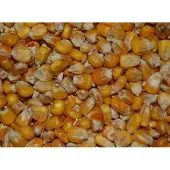 Wielink Gele mais Frans 20 kg