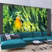 Artgeist Fotobehang – Behangpapier - Fotobehang - Anemonefish 250x193 -
