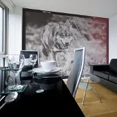 Artgeist Fotobehang - wolf - photo