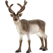 Schleich WILD LIFE - Rendier - Speelfiguur - Kinderspeelgoed voor Jongens en Meisjes - 3 tot 8 jaar - 14837