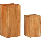 vidaXL Plantenstandaards 2 st massief acaciahout