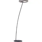 Paul Neuhaus Antraciete vloerlamp Titus modern