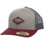 Hurley Somerset Cap Grijs Man