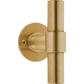 Formani Vaste (Kast)Knop PIET BOON PBT20V/50 PVD mat goud