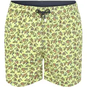 Hackett Zwemshort Sea Turtles