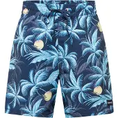 Hurley Cannonball Volley 17´´ Zwembroek
