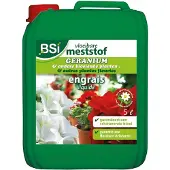 Bsi Geranium voeding | | 5 L